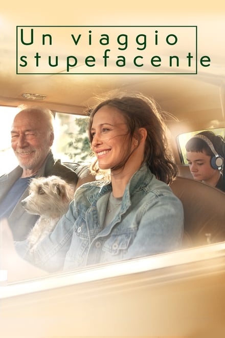 Un viaggio stupefacente [HD] (2018)