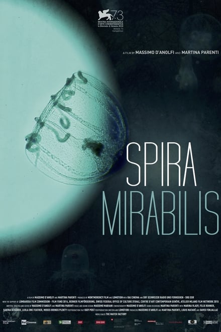 Spira Mirabilis (ENG) (2016)