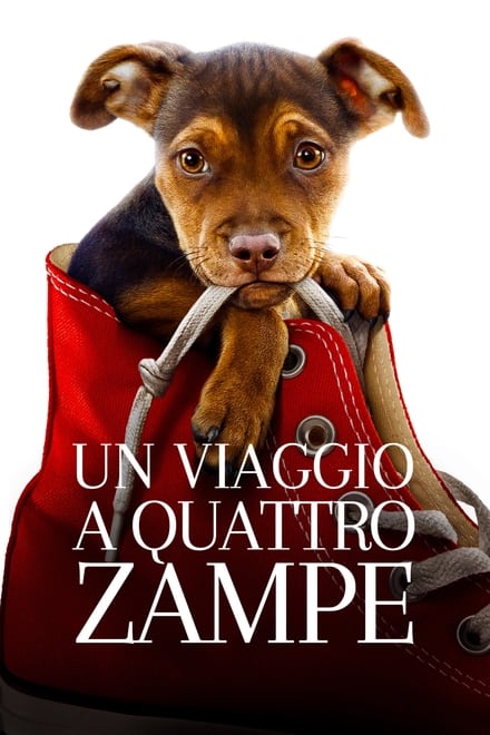 Un viaggio a quattro zampe [HD] (2019)