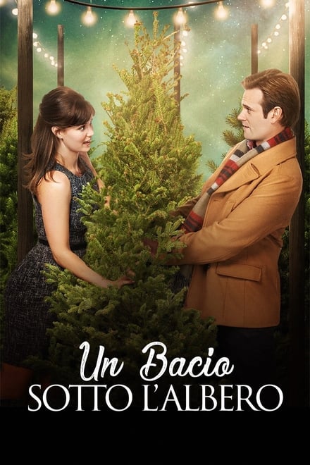 Un bacio sotto l’albero (2013)