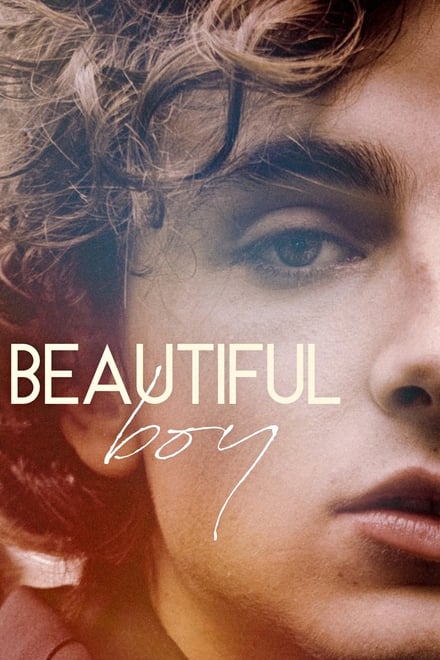 Beautiful Boy [HD] (2018)