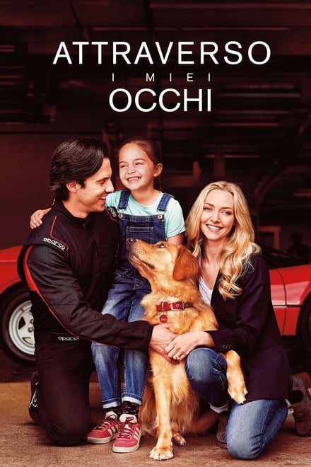 Attraverso i miei occhi [HD] (2019)