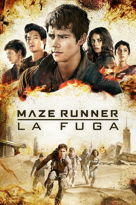 Maze Runner – La fuga [HD] (2015)