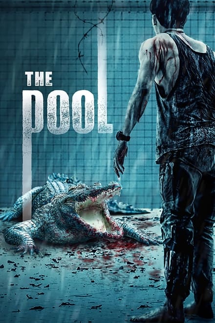 The Pool [HD] (2018)