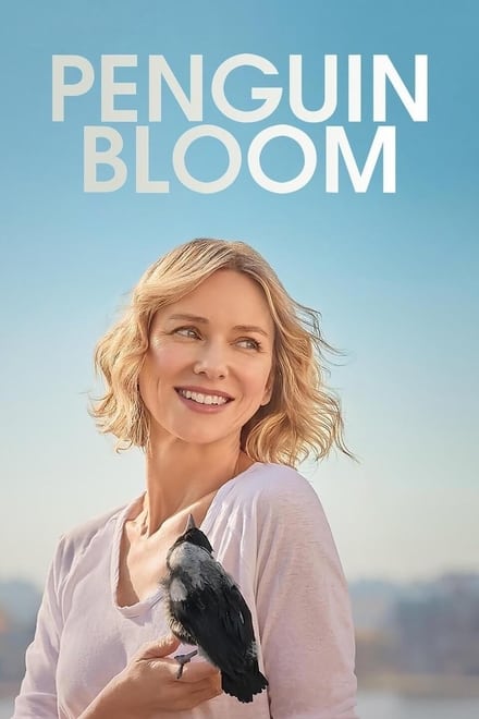 Penguin Bloom [HD] (2020)