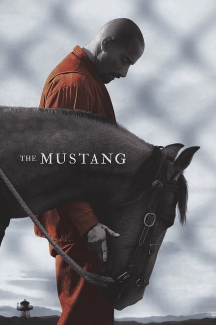 The Mustang [HD] (2019)