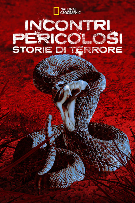 Incontri Pericolosi: Storie di Terrore [HD]