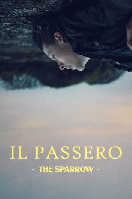 Il passero – The Sparrow [HD] (2022)