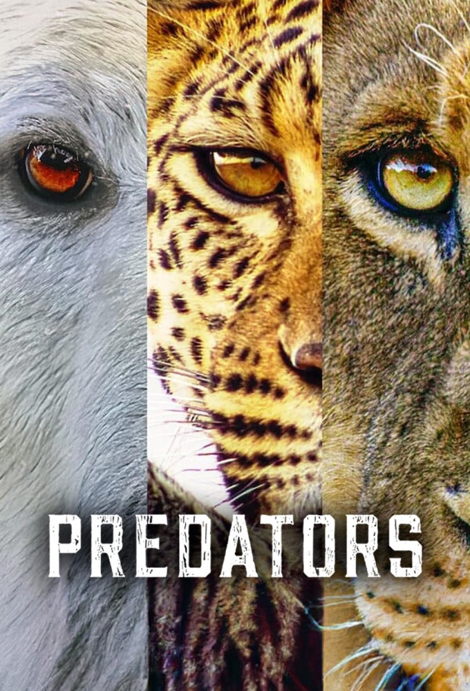 Predators