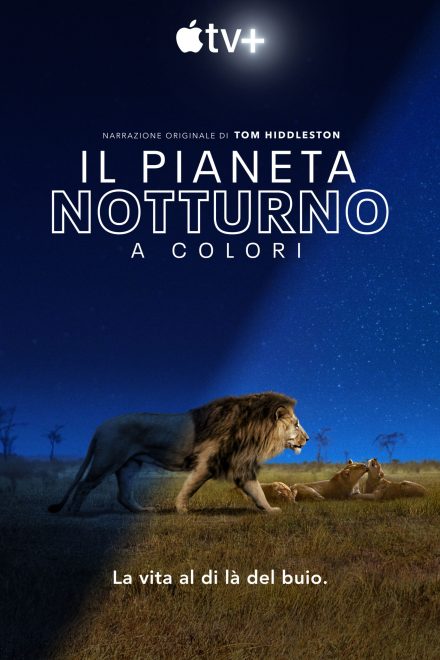 Il pianeta notturno a colori