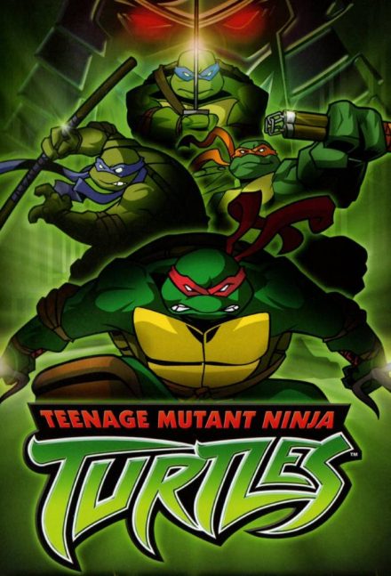 Tartarughe Ninja (2003)