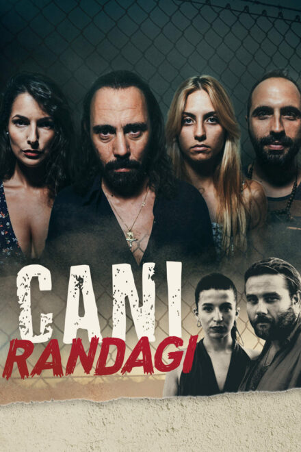 Cani randagi (2023)