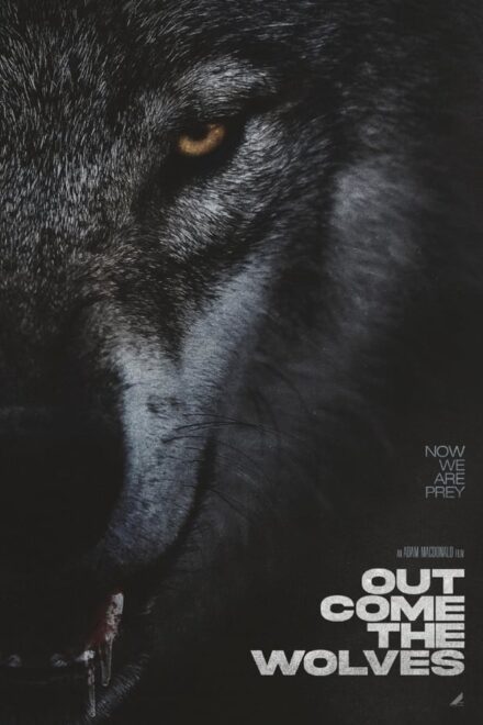 Out Come the Wolves (Sub-ITA) (2024)